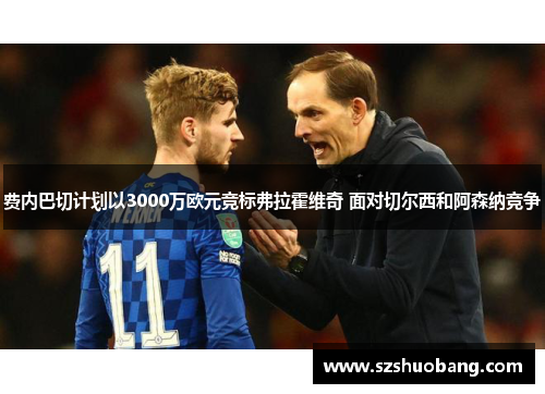 费内巴切计划以3000万欧元竞标弗拉霍维奇 面对切尔西和阿森纳竞争