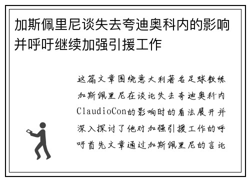 加斯佩里尼谈失去夸迪奥科内的影响并呼吁继续加强引援工作