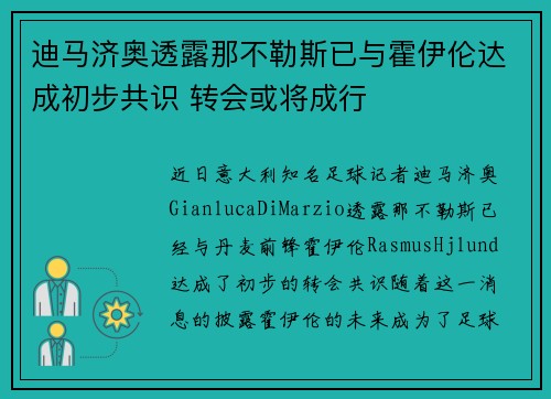 迪马济奥透露那不勒斯已与霍伊伦达成初步共识 转会或将成行