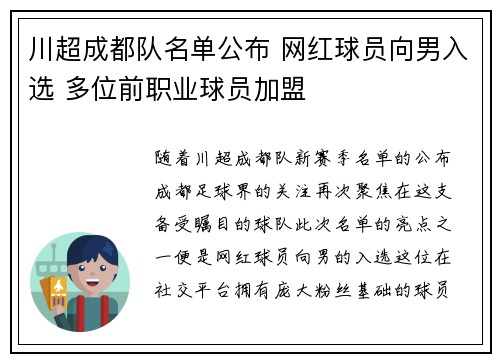 川超成都队名单公布 网红球员向男入选 多位前职业球员加盟